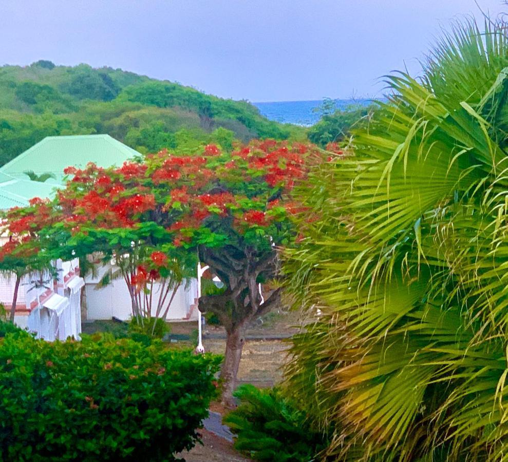 Le Titouloulou 1023 Anse Des Rochers Saint-Francois  Buitenkant foto